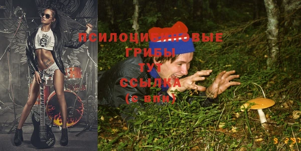 твердый Карталы